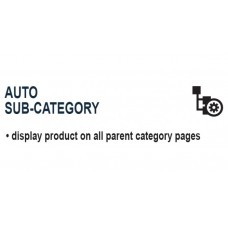 AUTO SUB-CATEGORY